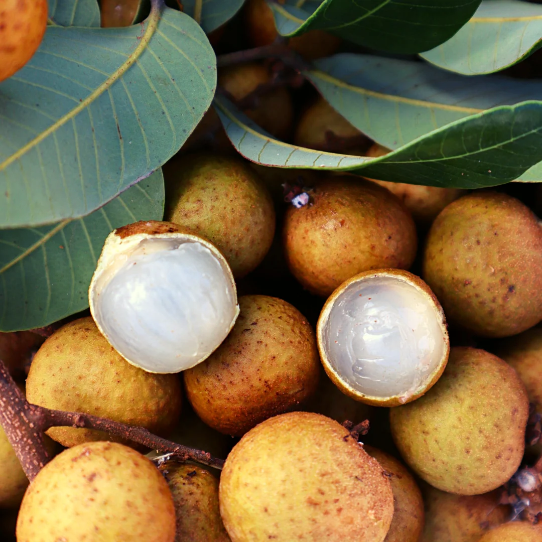 Longan Fruit - 8-10lbs